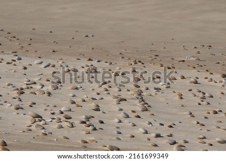 Pepple stones in all different colors on the beach with the tide watermark in the background and in windy sand 