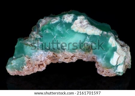 Chrysoprase on a black background - a sample of green raw collection stone, a variety of quartz and chalcedony. Field Kazakhstan Royalty-Free Stock Photo #2161701597