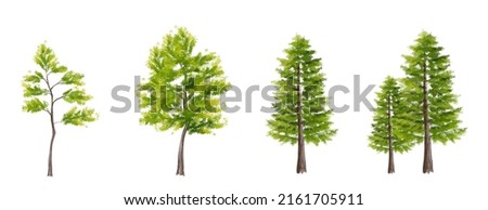 Vector watercolor of tree side view isolated on white background for landscape plan and architecture drawing, elements for environment and garden,botanical elements 