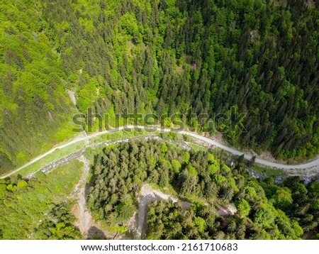 Forest road and river in Transylvania mountains, Romania.