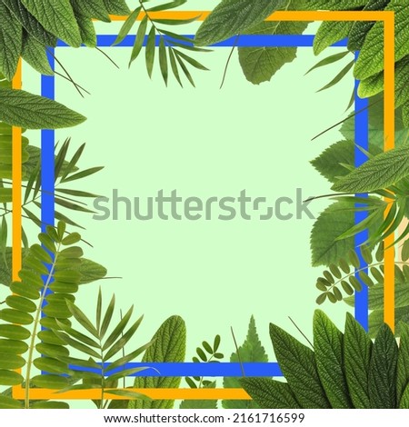 Beautiful plant leaves frame copy space background with blue and yellow square frames. Botanic layout with empty space on green backdrop. Natural concept idea