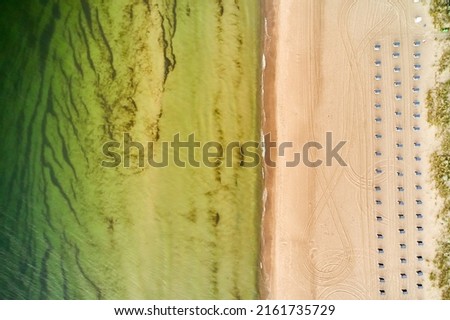 drone view of baltic sea shore and beach in summer