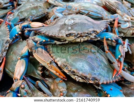 blue crab at the fish market, fishmonger Royalty-Free Stock Photo #2161740959