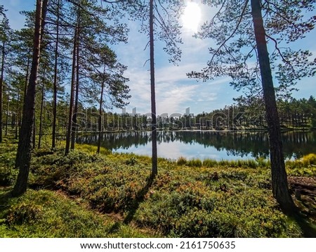lake in the woods sky and clouds, beautiful photo digital picture , picture taken in Sweden, Europe , Digital created image Picture