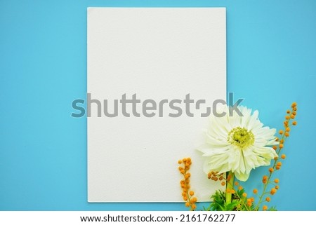 Mockup of cute comment space with white anemone flowers and yellow mimosa flowers on blue background