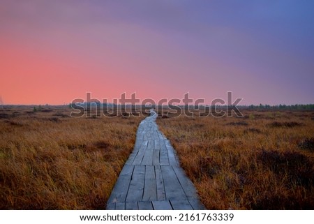Swamp Yelnya on sunset in autumn landscape. Wild mire of Belarus. East European swamps and Peat Bogs. Ecological reserve in wildlife. Marshland at wild nature. Swampy land and wetland, marsh, bog. Royalty-Free Stock Photo #2161763339