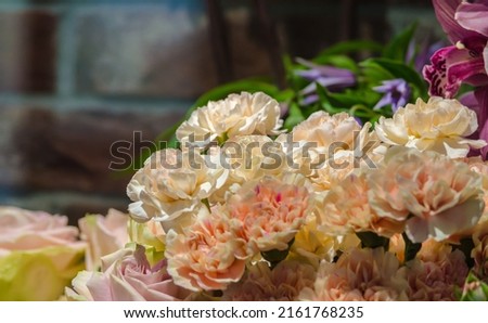 beige carnations close up on a flower showcase. High quality photo