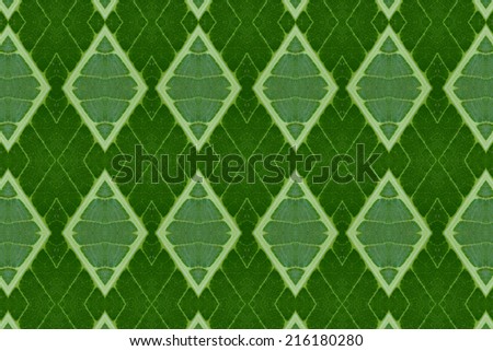 Idea form leaf.(Pattern for wallpaper concept) 