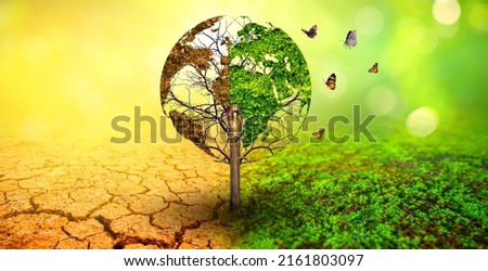 tree in two  with very different environments Earth Day or World Environment Day Global Warming and Pollution Royalty-Free Stock Photo #2161803097