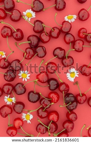 Red cherry fruits on a red background with flowers. Monochromatic summer wallpaper.