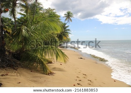 Beautiful beach in the caribbean islands, Puerto Rico
