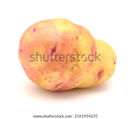 Produce of Canary Islands - large pink-eyed potato isolated on white
 Royalty-Free Stock Photo #2161954235