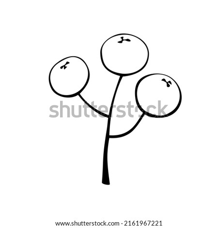Vector abstract outline twig with berries in doodle style. Botanical clipart, element for the design of postcards, invitations, creating logos or banners