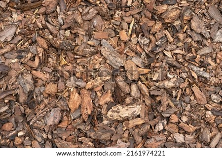 A pile of wood chips to be used as landscaping mulch. High quality photo