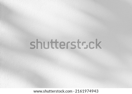 Abstract  light shadow of leaf blurred background. Natural diagonal leaves tree branch shadows and sunlight on white wall. Shadow overlay effect foliage mockup
