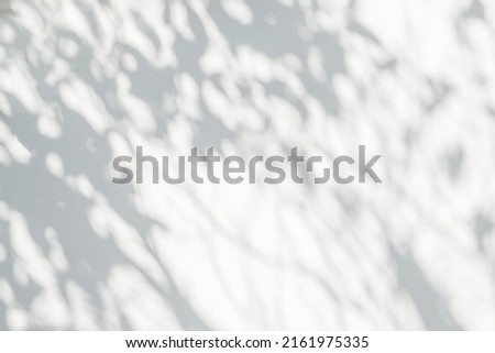 Tree shadow and leaf branch background.  Nature leaves tropical jungle tree branch dark shadow and light from sunlight on white wall texture for background wallpaper and design, shadow overlay effect
