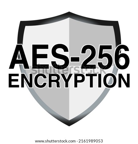 AES 256 encryption icon. vector Royalty-Free Stock Photo #2161989053