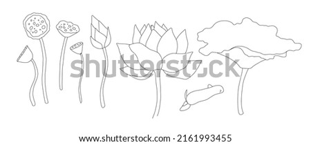 a set of lotus flower, leaf bud and seed pods with rhizome. a collection of isolated lotus flower elements drawn in sketch style with a black line for a natural Asian design template. Beautiful sketch