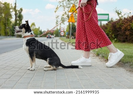 Woman walking her cute dog on city street, closeup