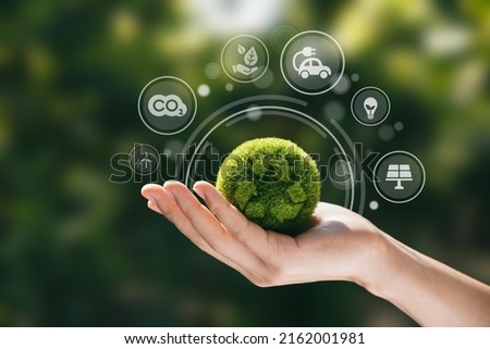 Hand of human holding green world with environment icon, Save world, sustainable environment concept. Royalty-Free Stock Photo #2162001981
