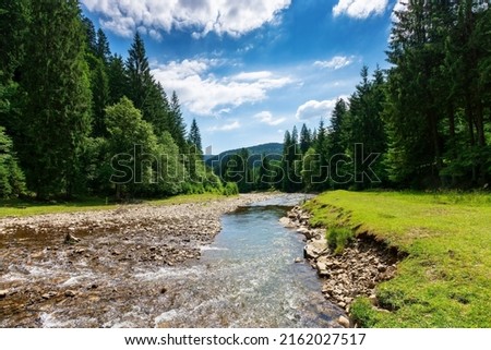 mountain river runs through countryside valley. beautiful green nature landscape in summer. stones on the grassy shore on a sunny day. clouds on the blue sky