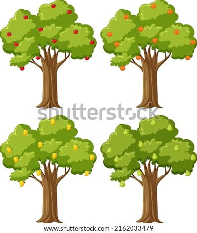 Four fruit trees set illustration