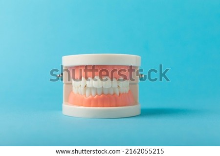 Dentures on a blue background.Upper and lower jaws with false teeth. Dentures or false teeth, close-up. copy space.MOCKUP Royalty-Free Stock Photo #2162055215