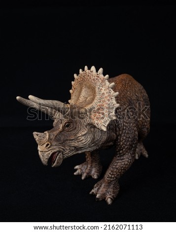 Triceratops Still Life on Black Background Royalty-Free Stock Photo #2162071113