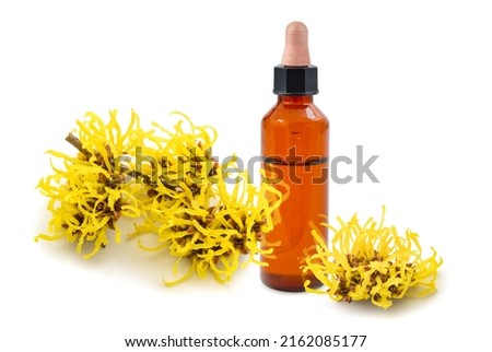 Witch hazel flowers with essence isolated on white background Royalty-Free Stock Photo #2162085177