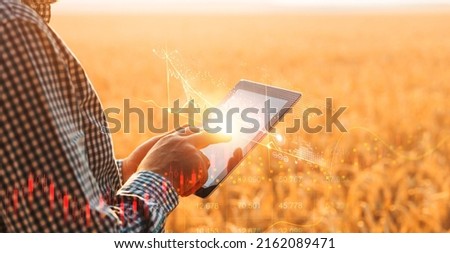 Global and European grain and wheat crisis after Russia's invasion of Ukraine. Ukraine and Russia is the world's largest exporters of grain Royalty-Free Stock Photo #2162089471