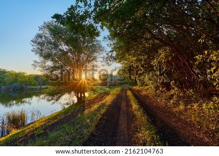 Beautiful road in green forest at sunset in summer. Colorful landscape with woods, bike road, walking people, sun rays, green trees, grass at sunny evening. Walkway in blooming park in spring. Nature Royalty-Free Stock Photo #2162104763