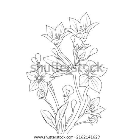 balloon flower coloring page line art with blooming petals and leaves illustration