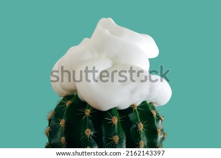 Abstract concept of shaving with shaving foam on top of a cactus, on a green background 