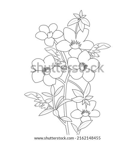 allamanda flower coloring page line art with blooming petals and leaves illustration