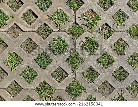 Concrete and grass pattern on public square floor
