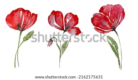 Set of watercolor design elements watercolor poppies, red poppies, leaves, branches, illustration isolated on white background.