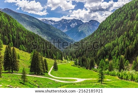 A winding path on a mountain slope. Forest in mountains. Mountain green hills landscape. Mountain forest landscape Royalty-Free Stock Photo #2162185921