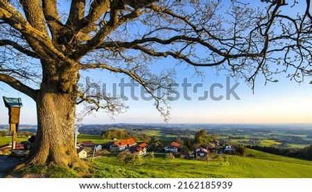 Spring landscape with a tree on the background of a village. Village in spring valley. Valley village in springtime. Spring valley village panorama Royalty-Free Stock Photo #2162185939