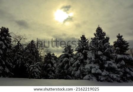 Winter landscape in Bromont, Eastern township Quebec, Canada