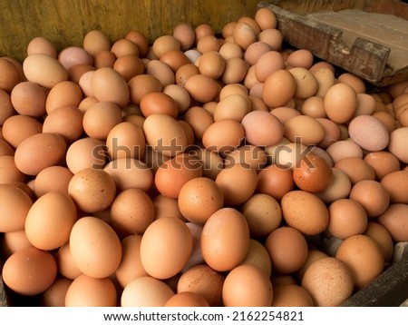large amounts of chicken eggs