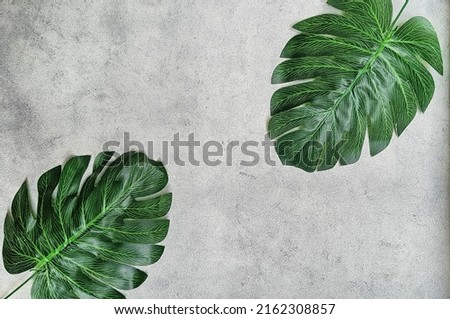 Leaves composition. The frame consists of an arrangement of artificial leaves on white background. Flat lay, top view, copy space, creative, design. mock up, background image