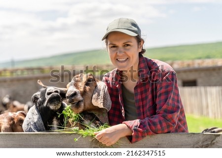 Portrait Woman Breeder of cattle of goats of the Anglo-Nubian breed. Close-up female farmer feeding goats with green grass on countryside background. Livestock farmers insurance. Healthy lifestyle Royalty-Free Stock Photo #2162347515