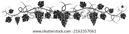 Branch with grape silhouette illustration isolated on white background, vector. Grape silhouette with leaves. Black and white minimalist art design. Fruit, healthy food Royalty-Free Stock Photo #2162357061