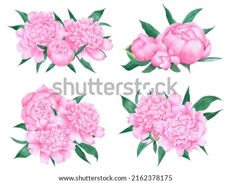 Watercolor flower bouquets. Pink peonies compositions with leaves. Watercolor flower arrangement for design. Set of peony bouquet  isolated on white background.