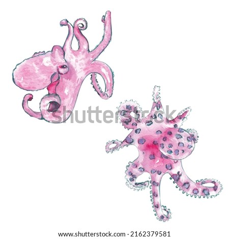 Watercolor octopus clipart.  Ringed octopus illustration isolated on white. Hand painted animal clipart. Ocean, sea life creatures, marine, nautical decor in pink, blue and emeral green colors. 