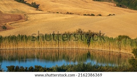 Typical Tuscan landscape near Montepulciano and Monticchielo, Italy Royalty-Free Stock Photo #2162386369