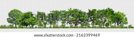 Green trees isolated on transparent background forest and summer foliage for both print and web with cut path and alpha channel Royalty-Free Stock Photo #2162399469