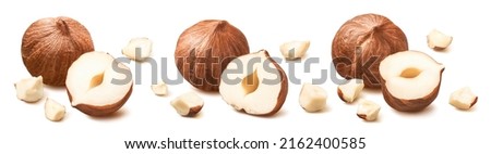 Cracked hazelnuts, whole and small pieces set isolated on white background. Package design elements with clipping path  Royalty-Free Stock Photo #2162400585