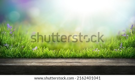 A wooden table product display with warm summer garden background of green grass and blurred foliage with strong sunlight. Royalty-Free Stock Photo #2162401041