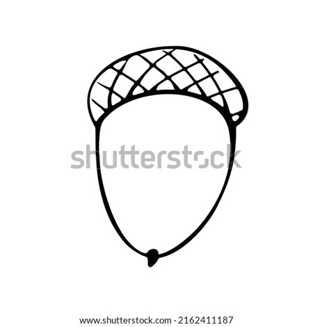 Vector simple hand drawn illustration of a acorn isolated on white background, black outline. Nature, forest clip art, black and white Doodle.